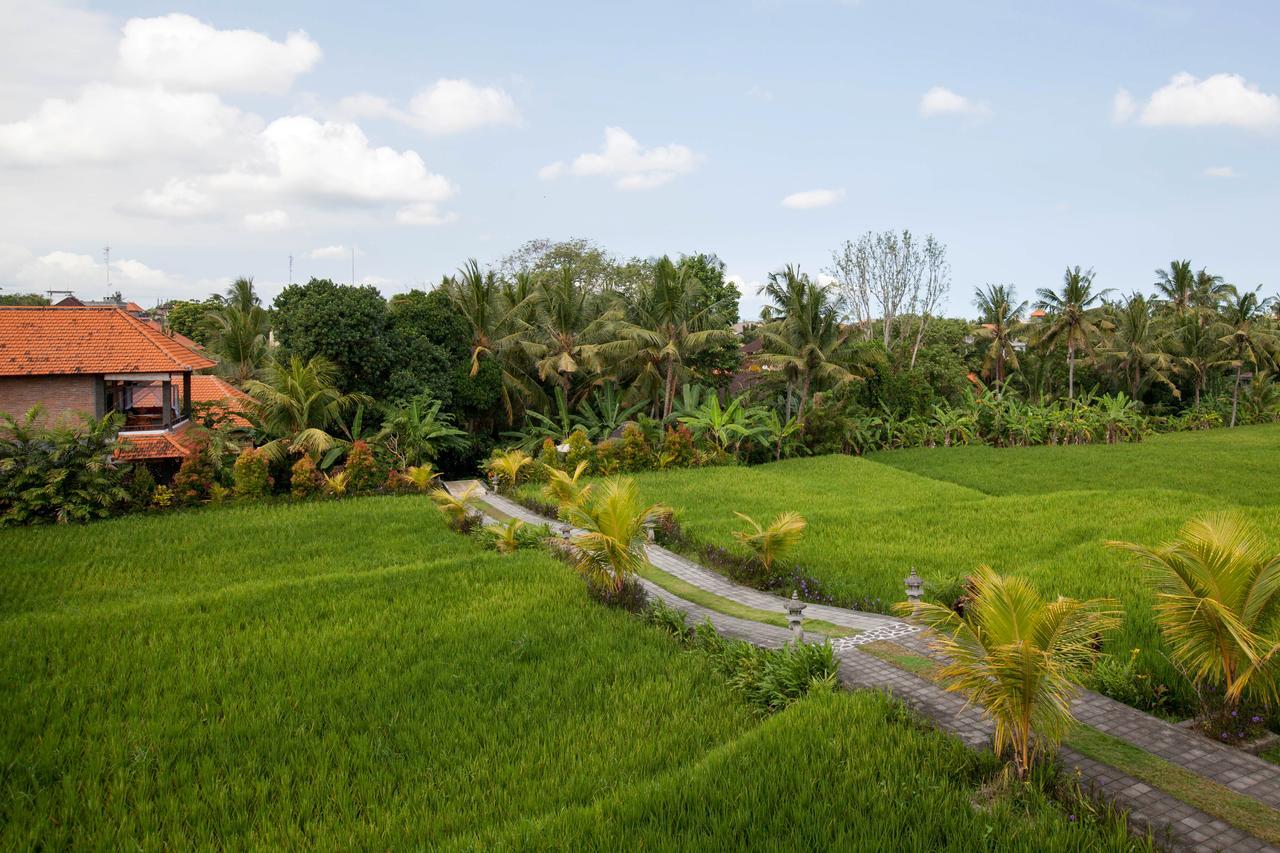 Kama Bisma Cottage Ubud Kültér fotó